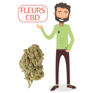 cbd fleurs de cbd 95 val d oise