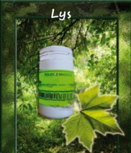 poudre magique lys