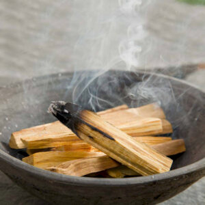 palo santo bois sacré