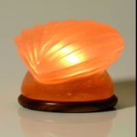 Lampe Forme Coquillage
